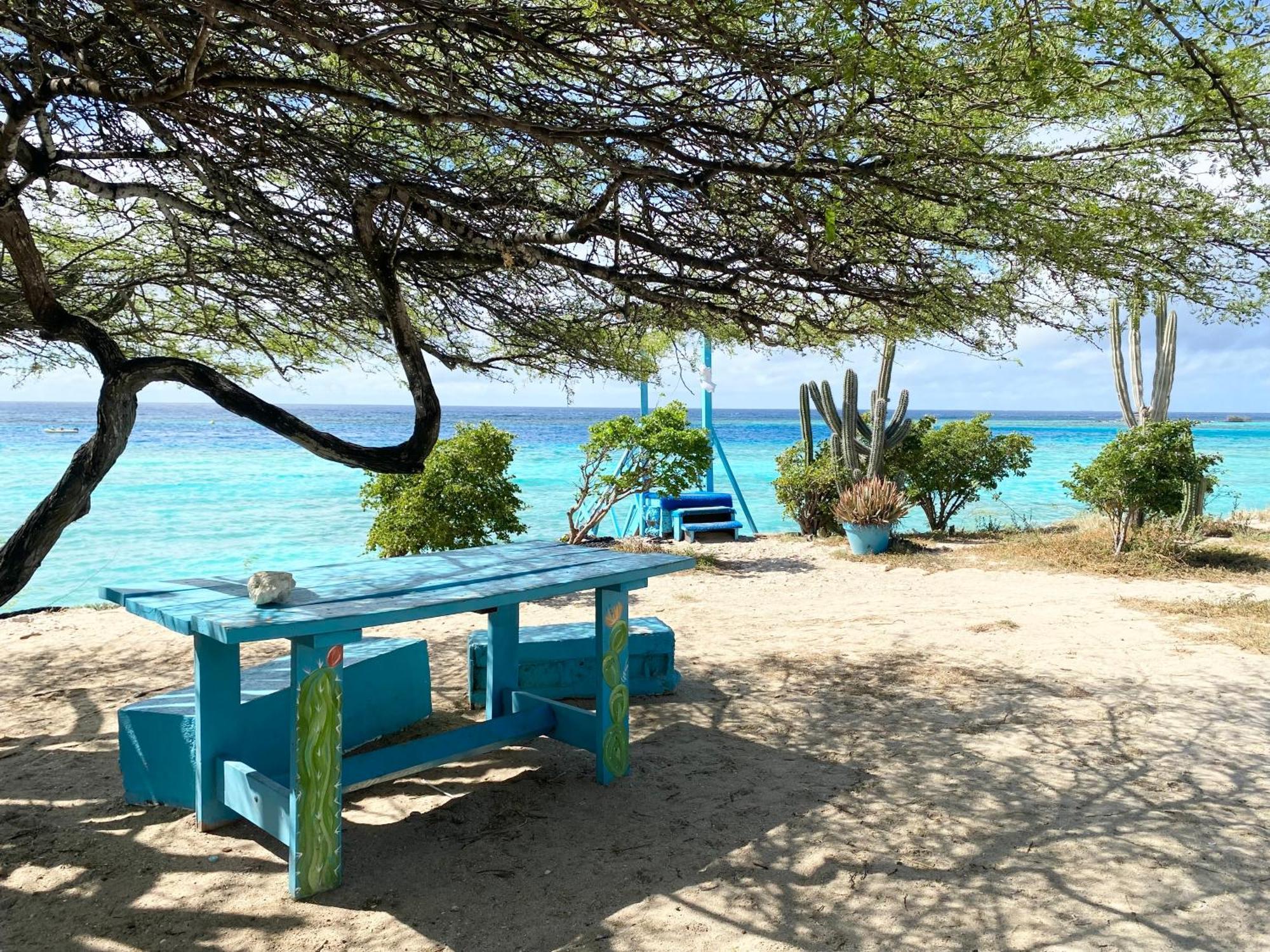 Casa Azure Aruba Villa Palm Beach ภายนอก รูปภาพ